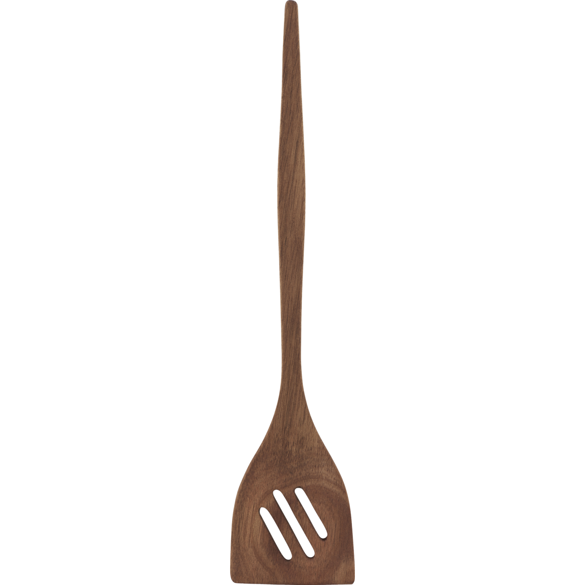 spatula-nature