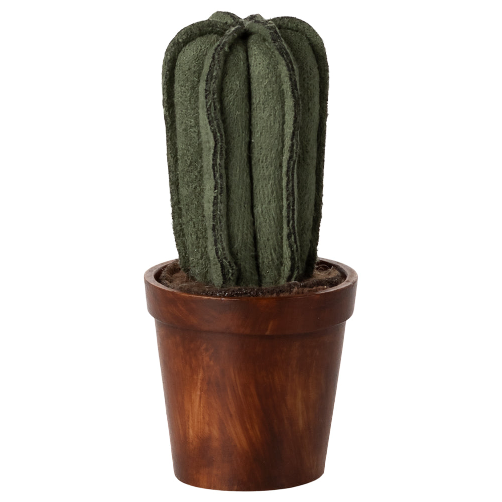 Flower Pot With Cactus