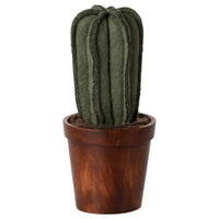 Thumbnail for Flower Pot With Cactus