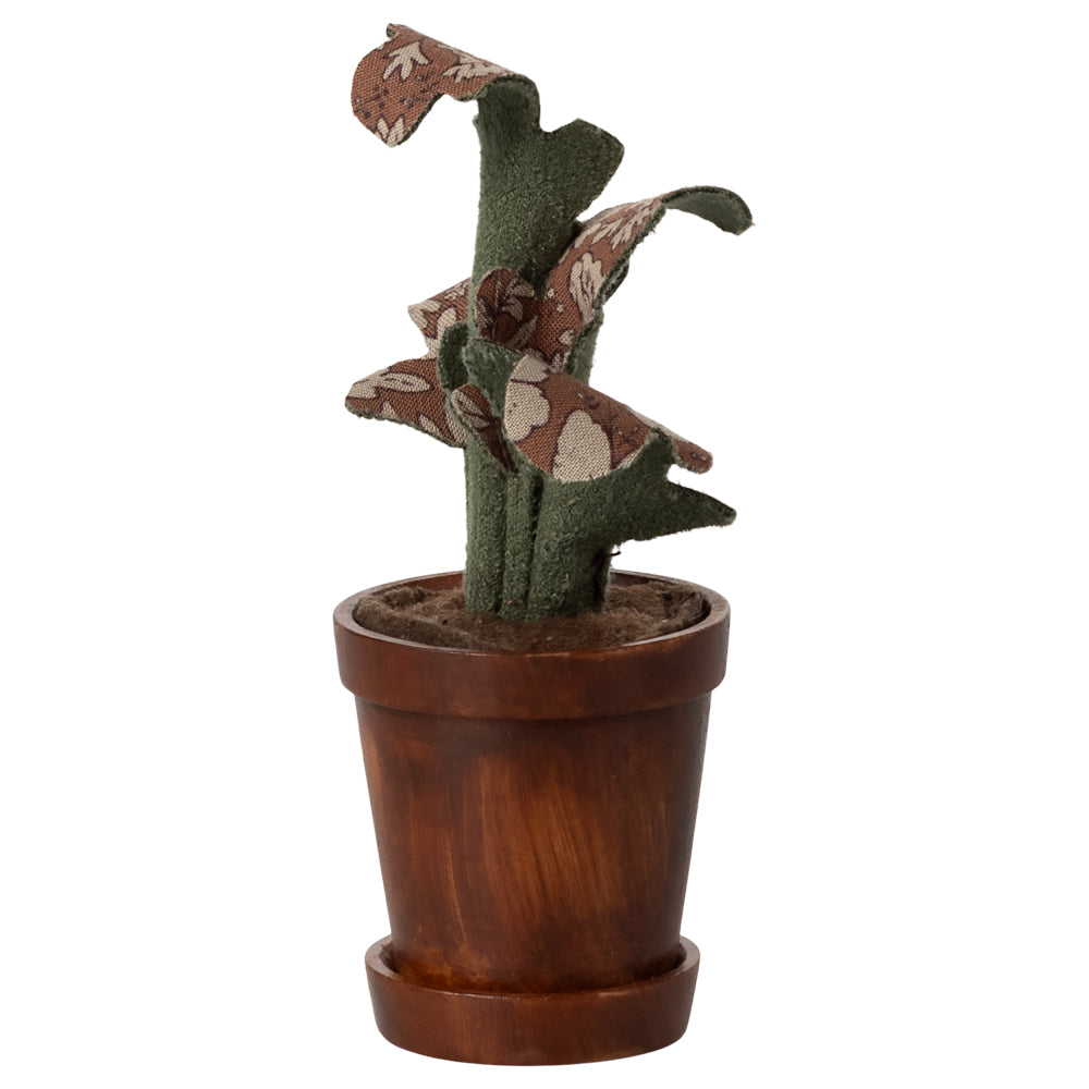 Flower Pot With Plant