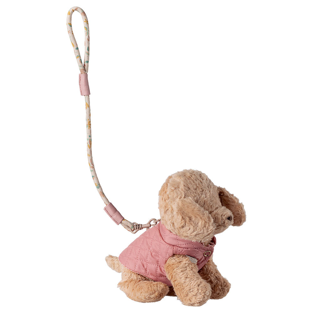 Pet supply, Harness and leash - Rose