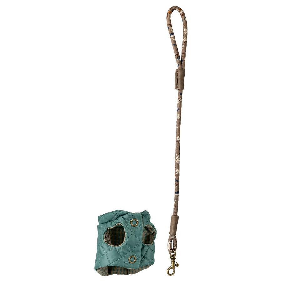 Pet supply, Harness and leash - Dark mint