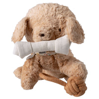 Thumbnail for Pet Supply Toys