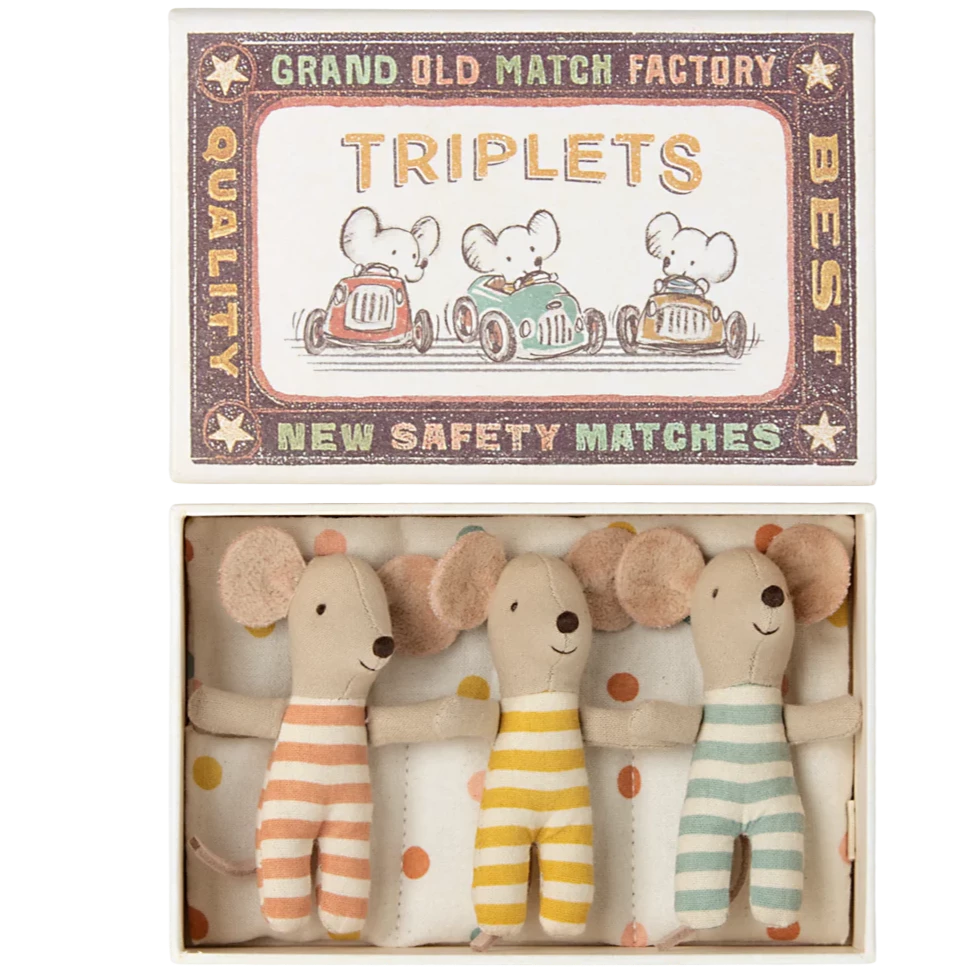 Triplets Baby Mice in a Matchbox