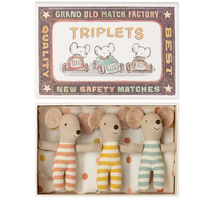 Thumbnail for Triplets Baby Mice in a Matchbox