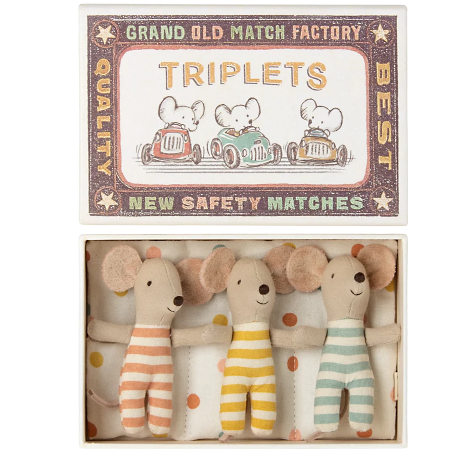 Triplets Baby Mice in a Matchbox