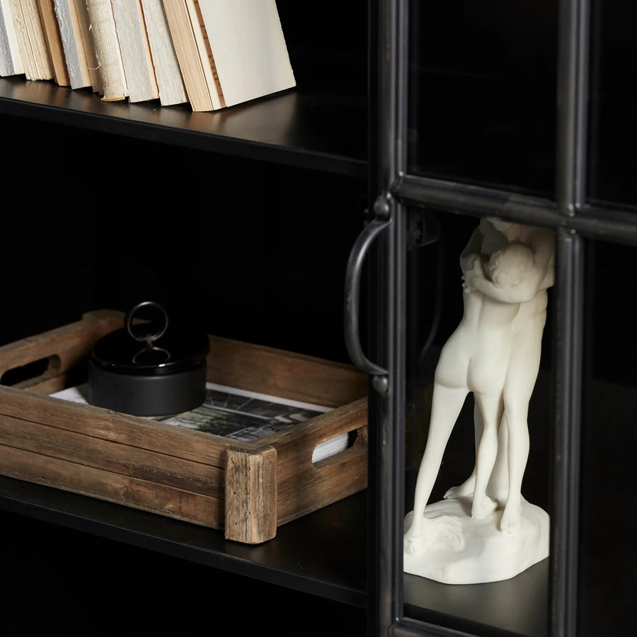 2 Door Iron & Glass Cabinet