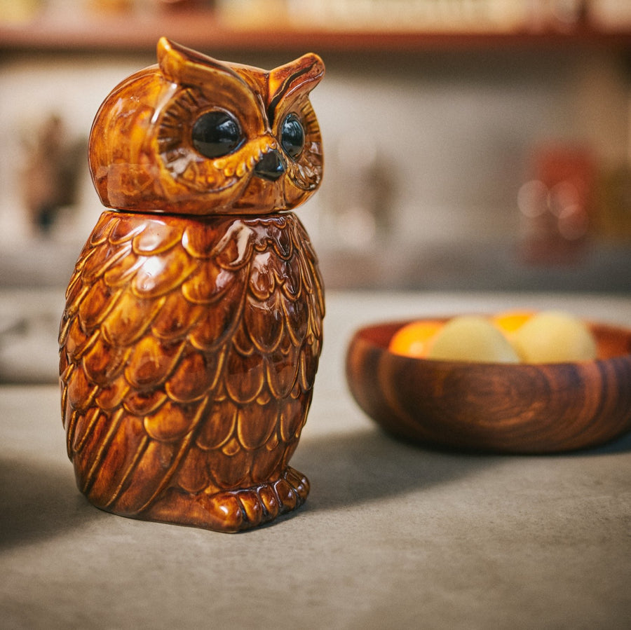 Ceramic Owl Jar Roasted