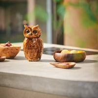 Thumbnail for Ceramic Owl Jar Roasted