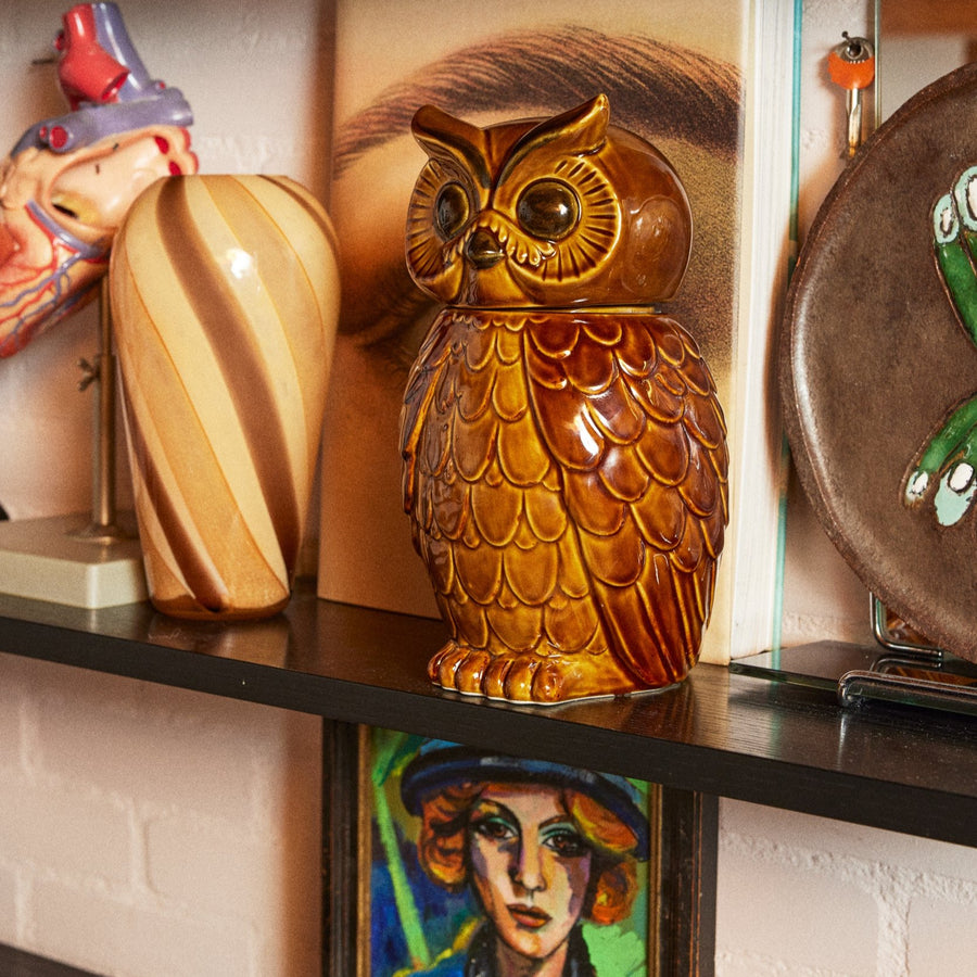Ceramic Owl Jar Roasted