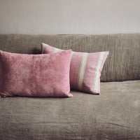 Thumbnail for Velvet Cushion Rose 60x40cm