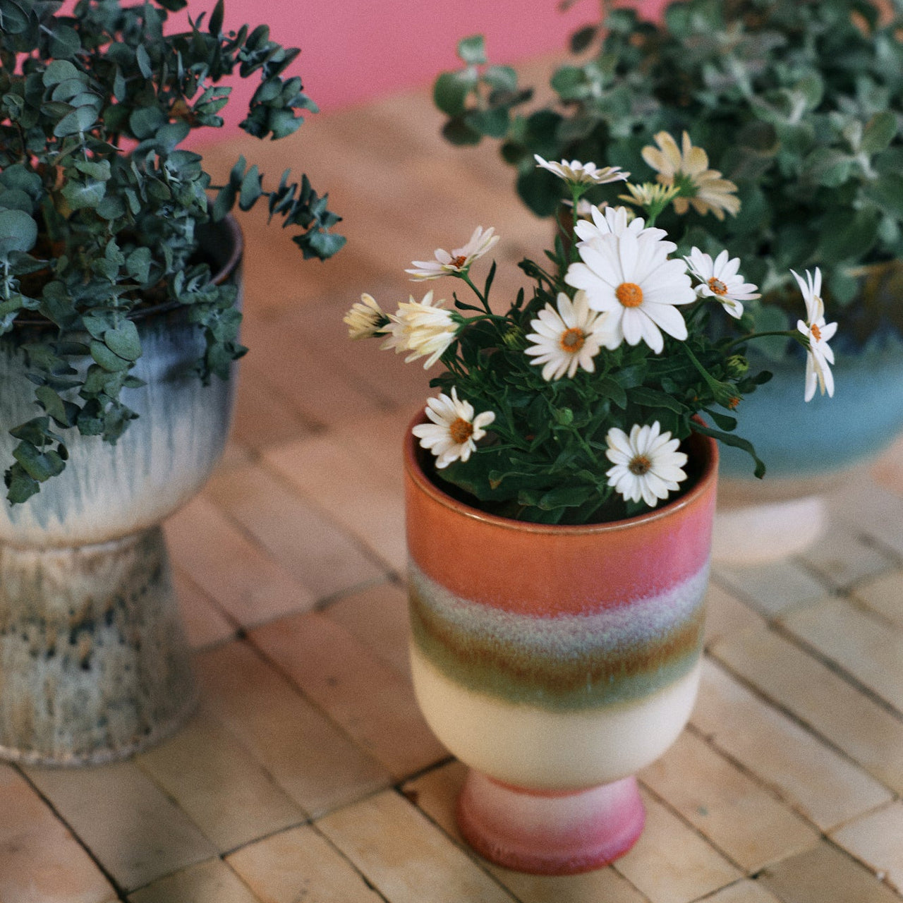 Retro Flower Pot Rosefield