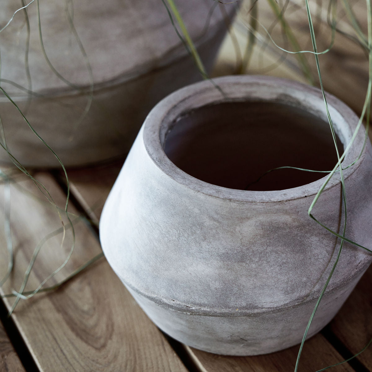 Planter, Mysa, Nature