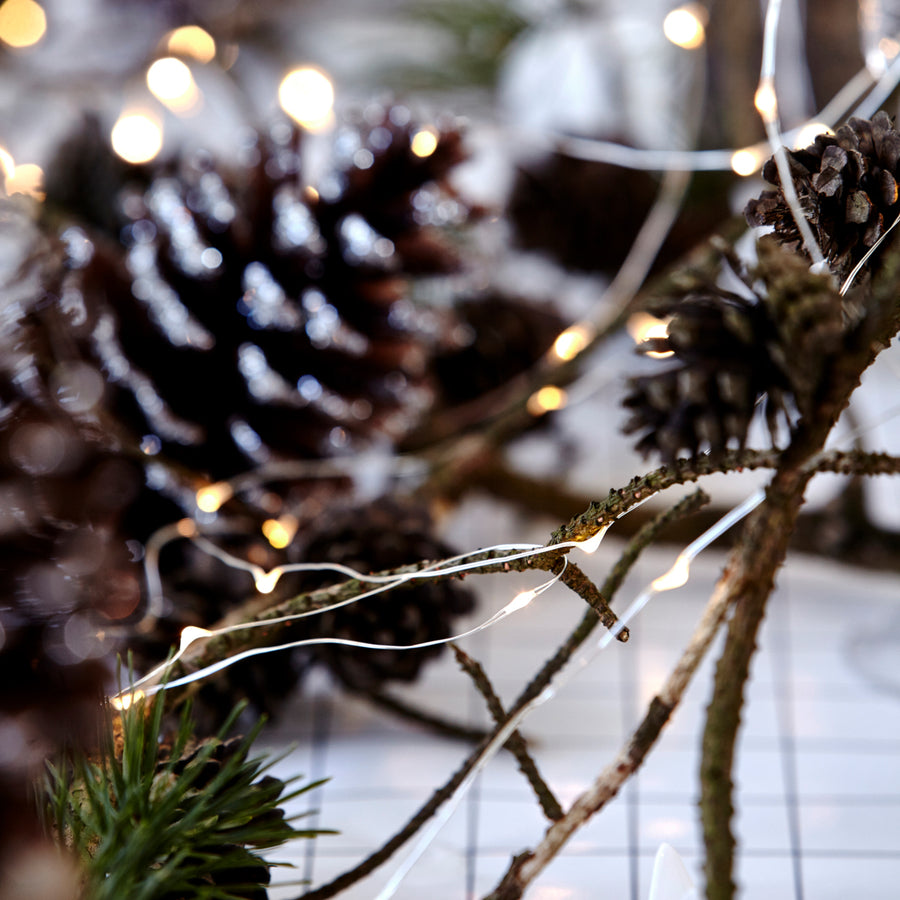 String Lights, HD10 M, Silver