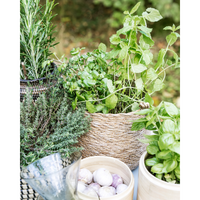 Thumbnail for Basket, HDHang, Nature
