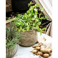 Thumbnail for Basket, HDHang, Nature