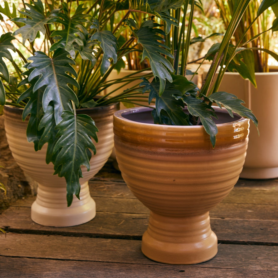 stoneware-planter-vanilla