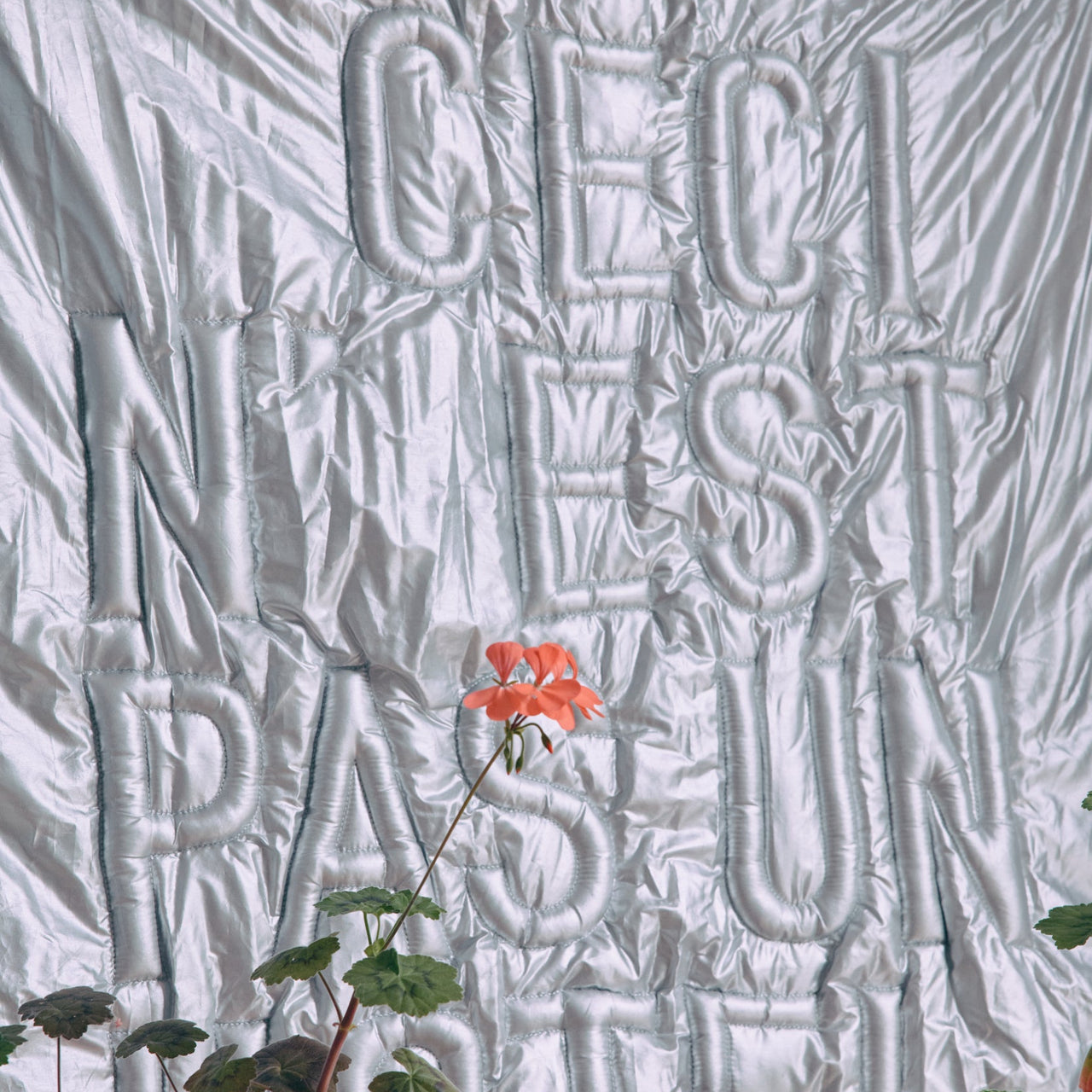 Textured wall with embossed letters and a plant in the foreground