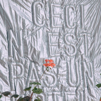 Thumbnail for Textured wall with embossed letters and a plant in the foreground