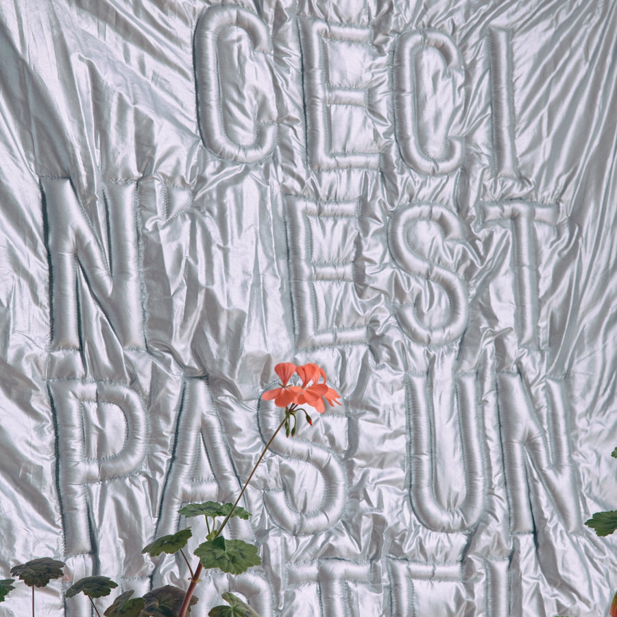 Textured wall with embossed letters and a plant in the foreground