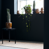 Thumbnail for w.folkinteriors.co.uk › products › rug-hdhempi-nature-l-300-cm-w-90-cm

House Rug, HDHempi, Nature L:300 cm, W: 90 cm