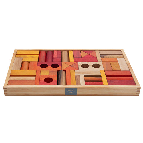 Wooden Montessori Blocks In Tray 54 Pcs, Warm