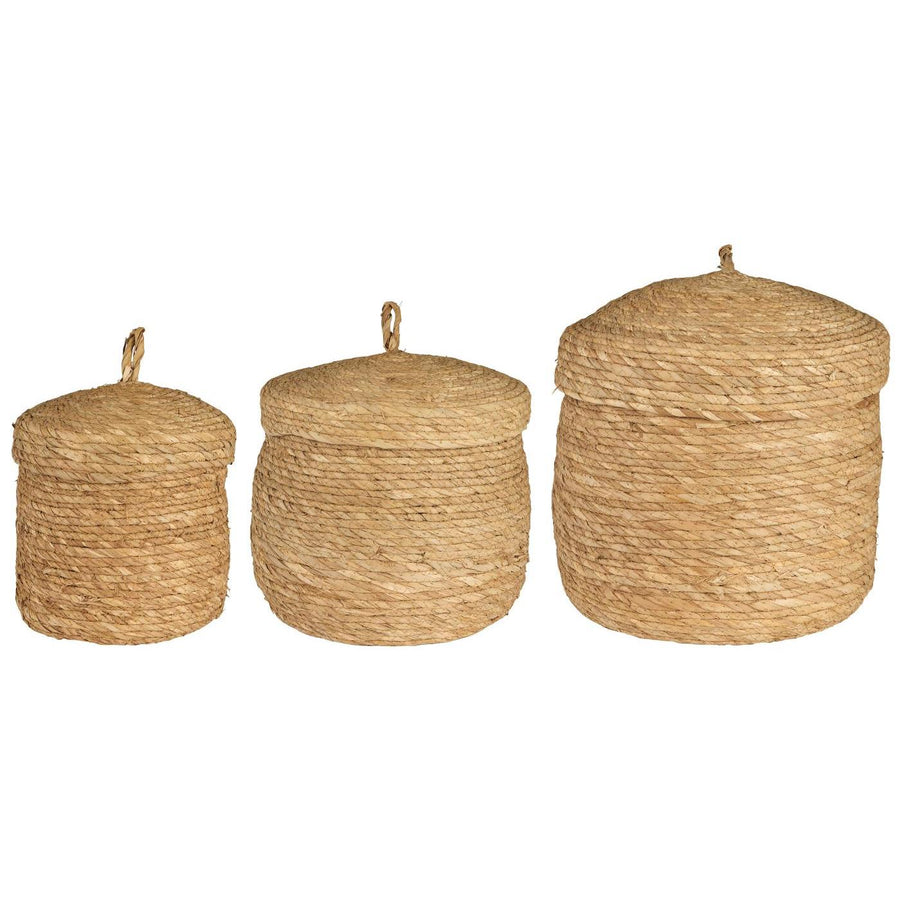 Basket Set of 3 W/Lid Natural Seagrass