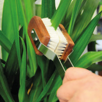 Thumbnail for redecker Plant Brush