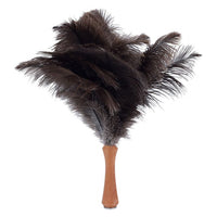 Thumbnail for Redecker Ostrich Feather Duster with Thread
