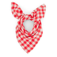 Thumbnail for BIANCA SWADDLE GINGHAM TOMATO: VICHY / L 110*110