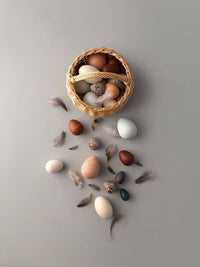 Thumbnail for A Dozen Bird Eggs in a Basket