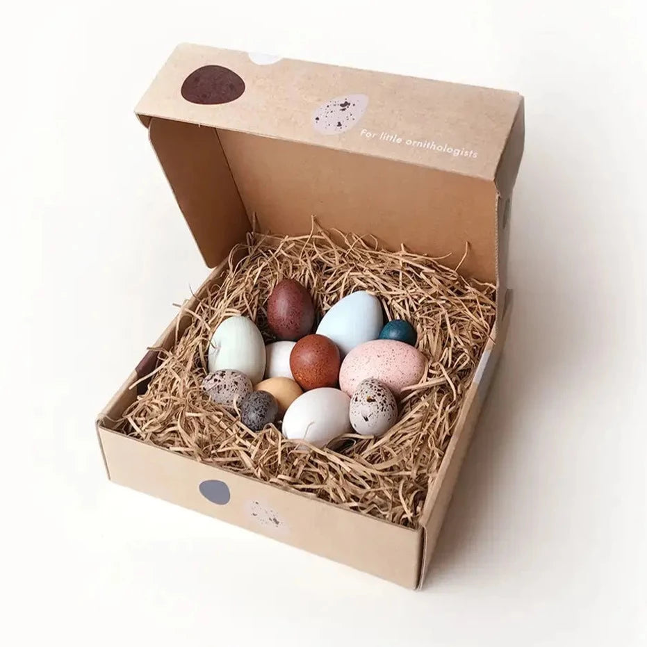 A Dozen Bird Eggs in a Box