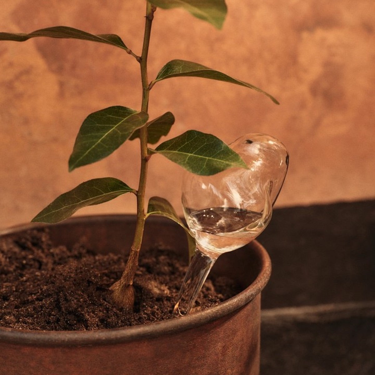 Mercury Water Globes - Small - Set of 2