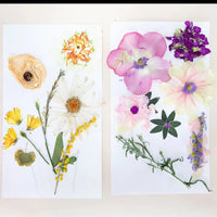 Thumbnail for Fantastic Flowers Art Box