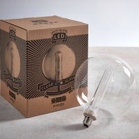 Thumbnail for Globe Bulb - Clear - 20cm