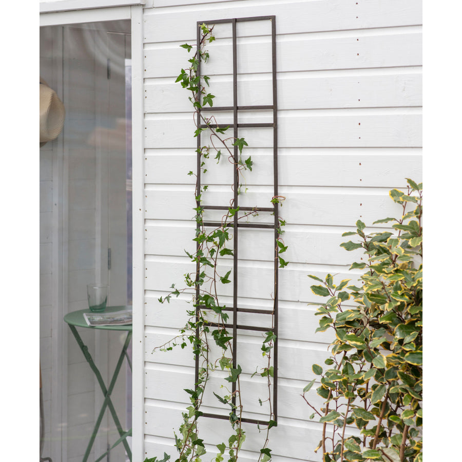 Charlbury Wall Trellis - 30CM PRE ORDER OCTOBER