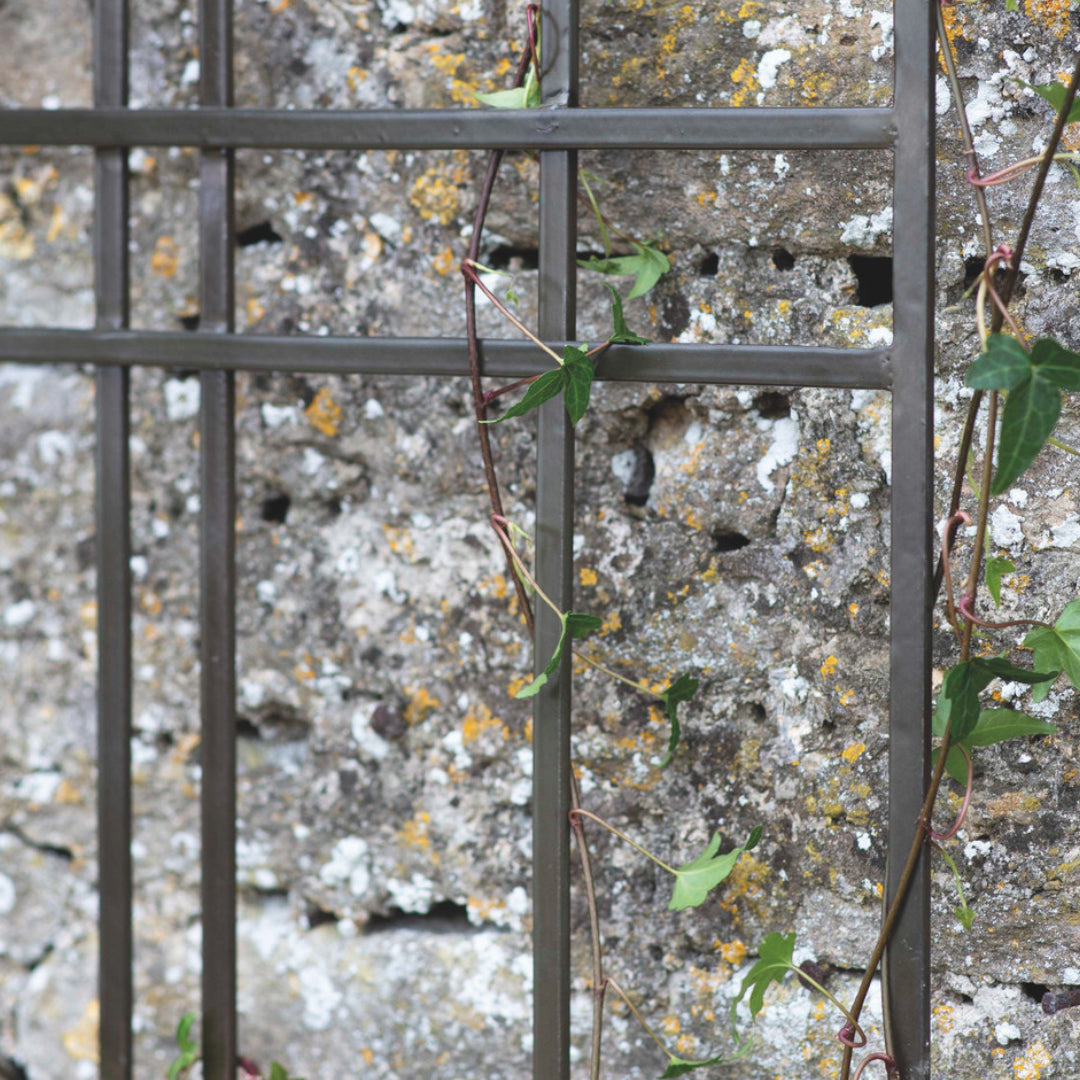 Charlbury Wall Trellis - 30CM