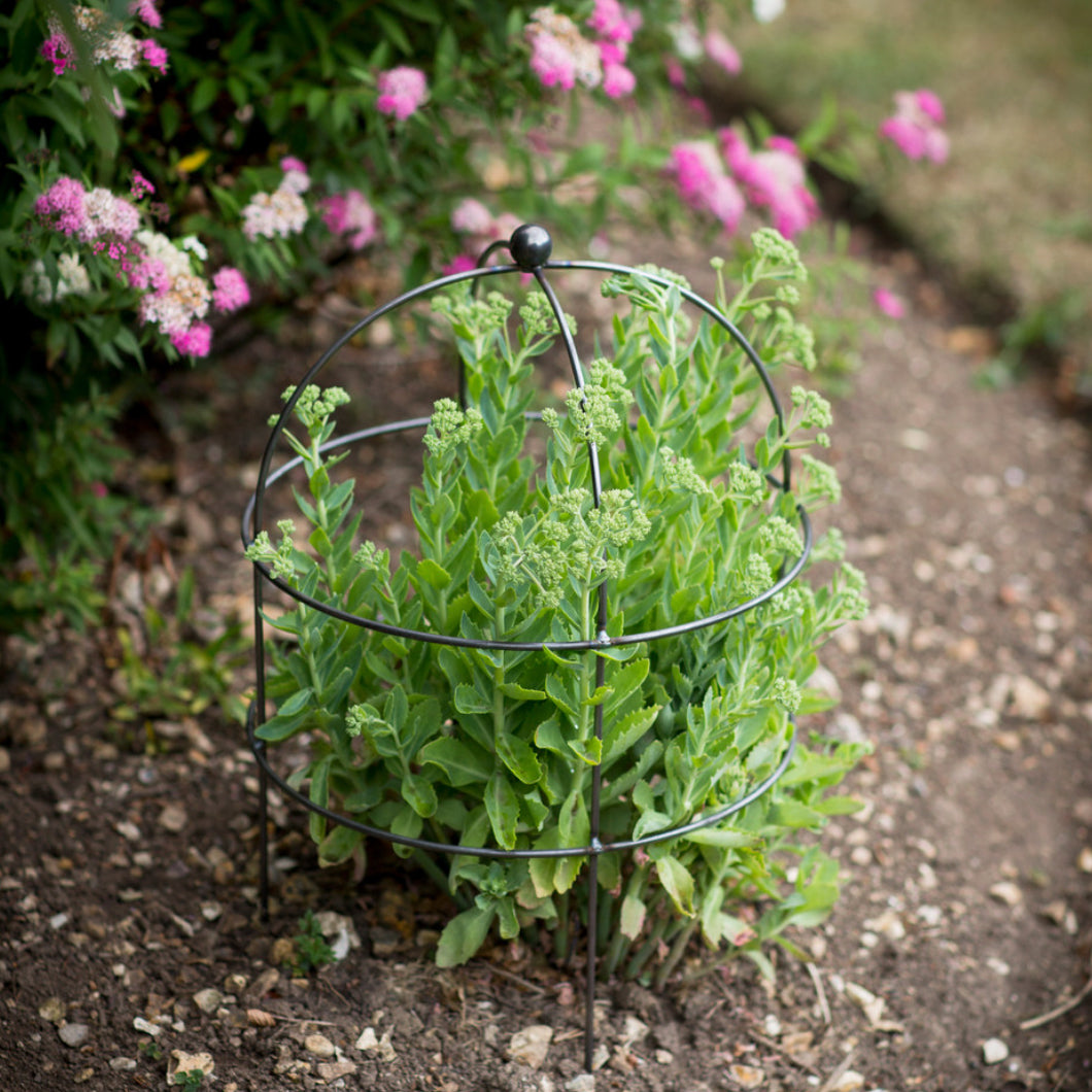 Barrington Domed Plant Support - Small