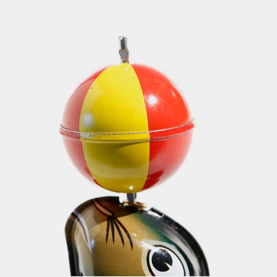 haha-the-playful-sea-lion