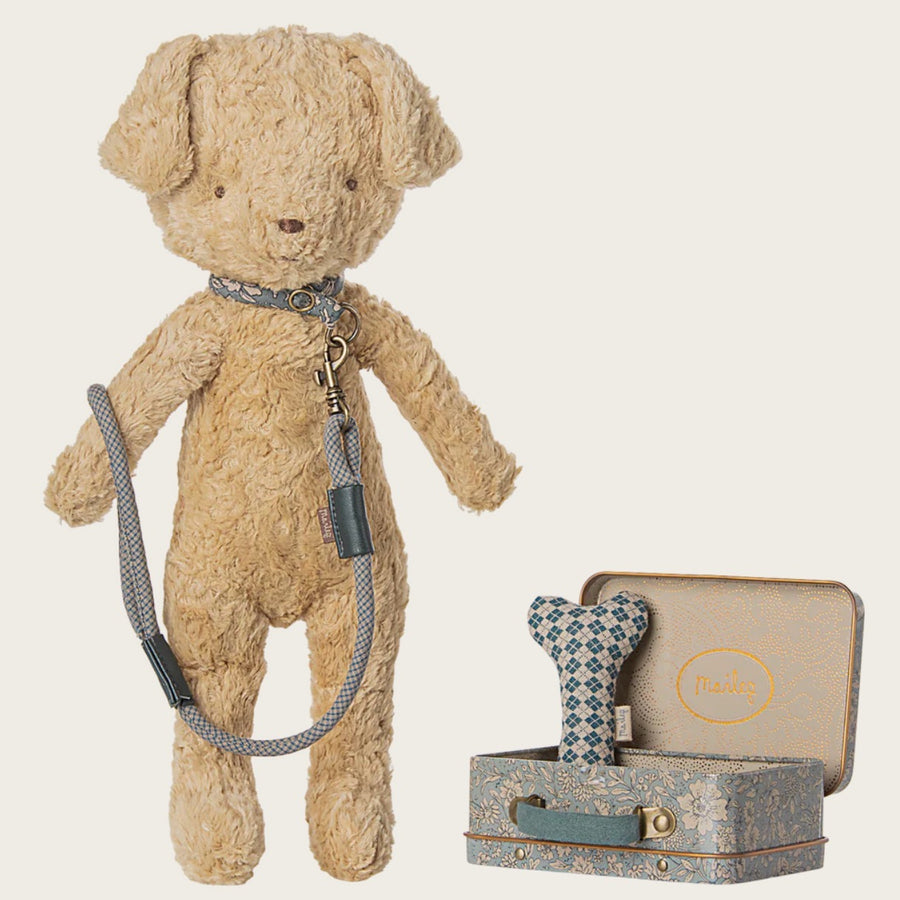 puppy-accessories-blue