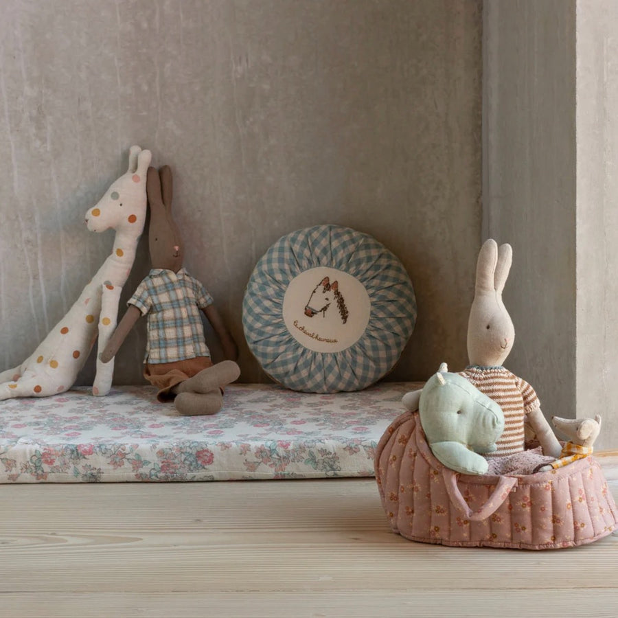 rabbit-size-3-brown-shirt-and-shorts