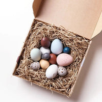 Thumbnail for A Dozen Bird Eggs in a Box