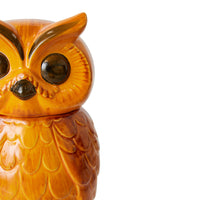 Thumbnail for Ceramic Owl Jar Tangerine
