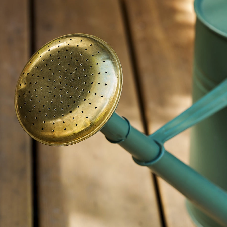 classic-watering-can-10l-thistle-green