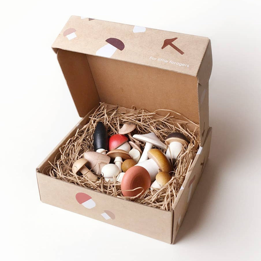 Forest Mushrooms In a box