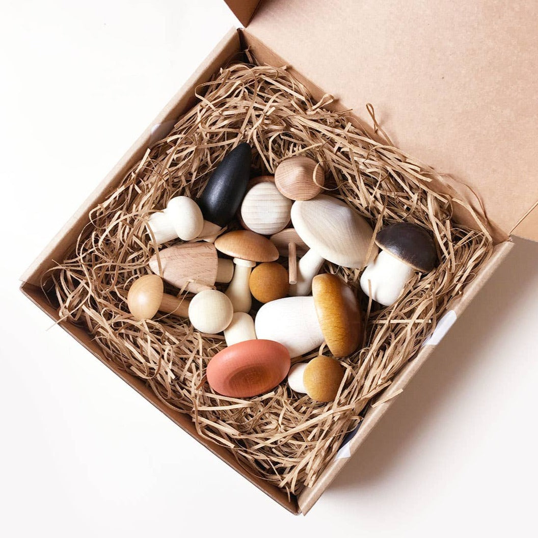 Forest Mushrooms In a box