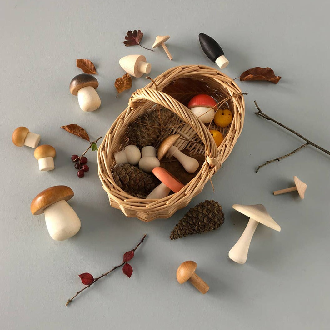 Moon Picnic Forest Mushrooms Basket