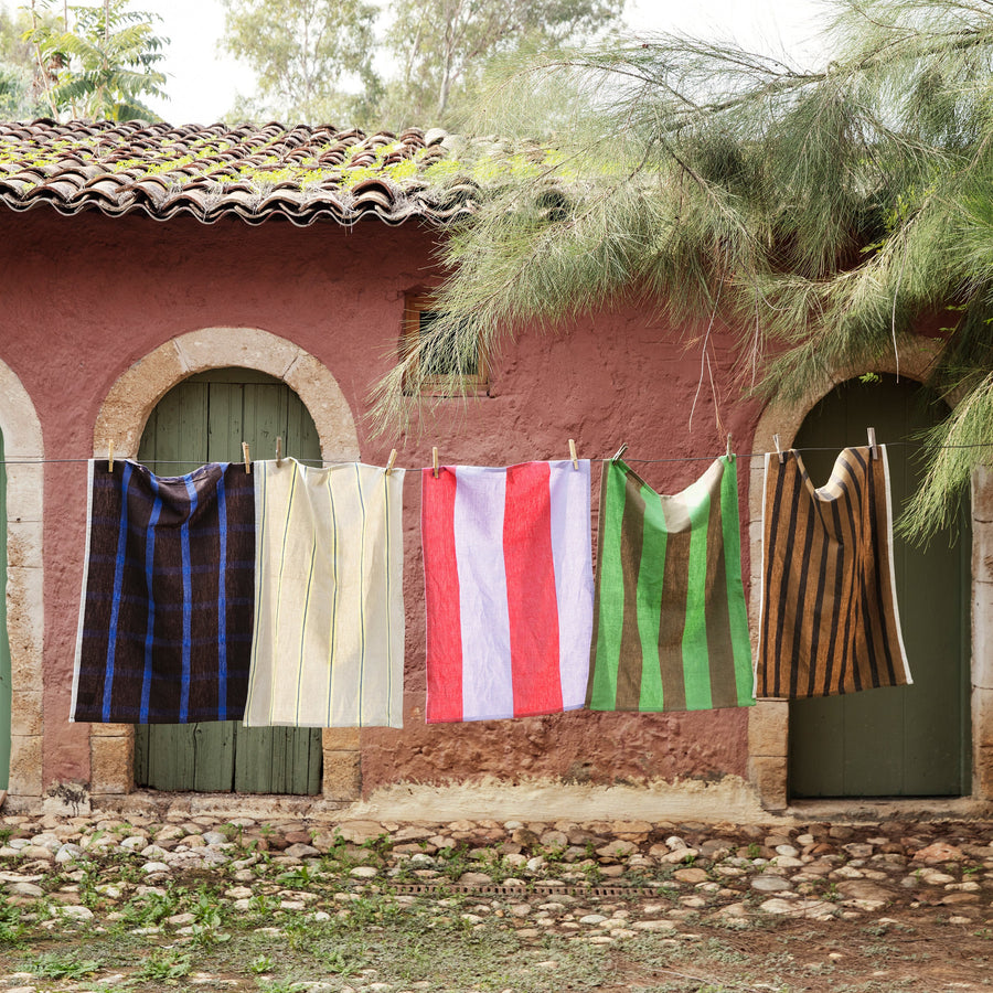 Colorful cloths hanging on a line outside a rustic building with greenery.