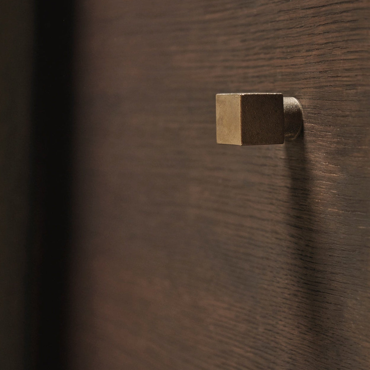 Wooden door with a brass handle