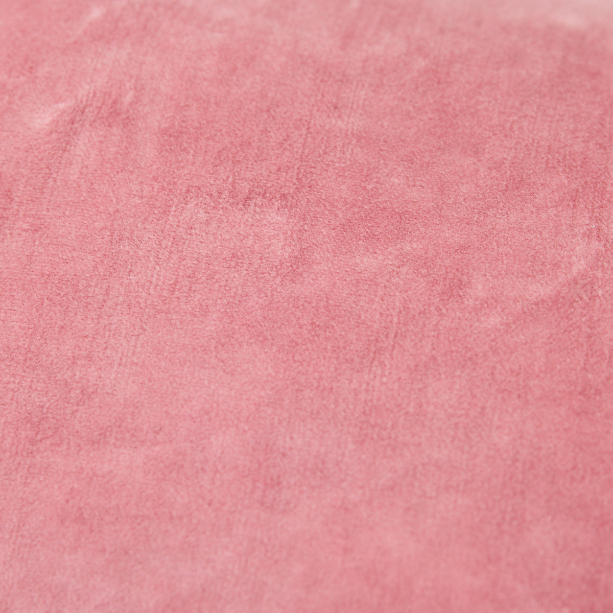 Velvet Cushion Rose 60x40cm